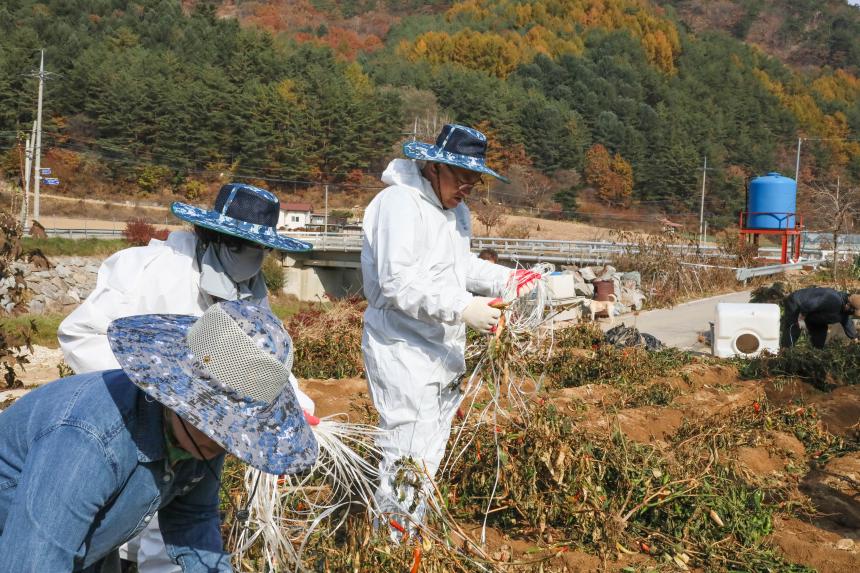 2025년 평창군의회 봉사활동